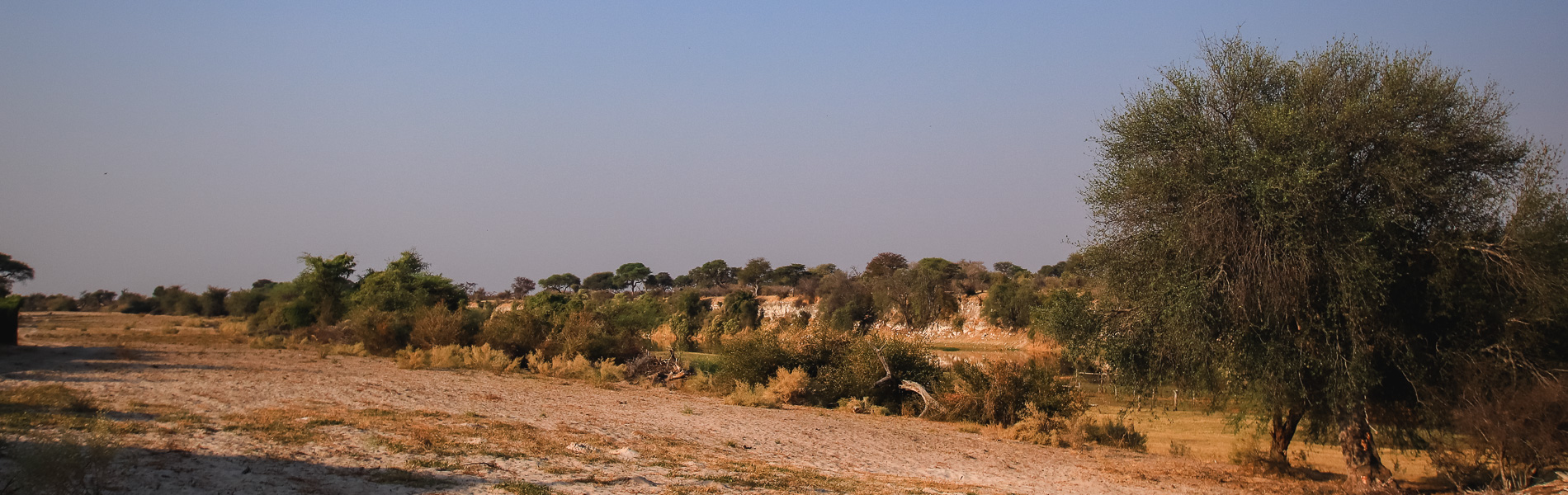 Boteti River