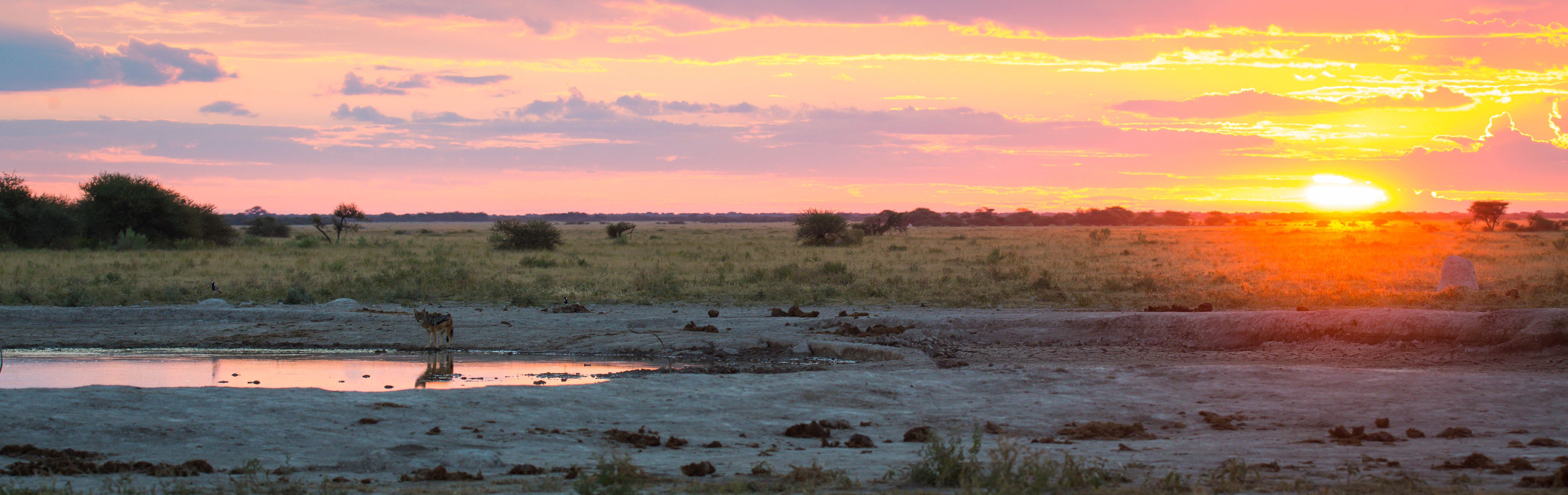 Pans sunset