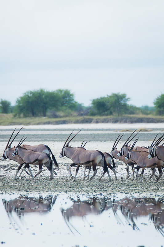 Makgadikgadi